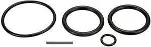 Pentair Slide Valve O-Ring Kit | 263054