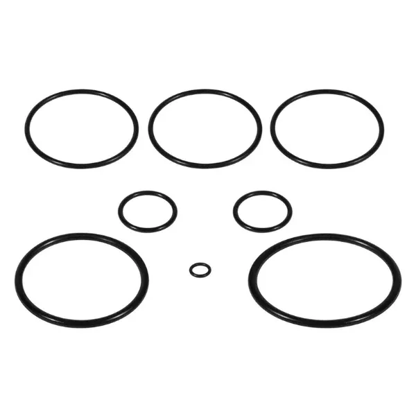 Zodiac O-Ring Kit for Nature2 Fusion Soft Mineral Sanitizer